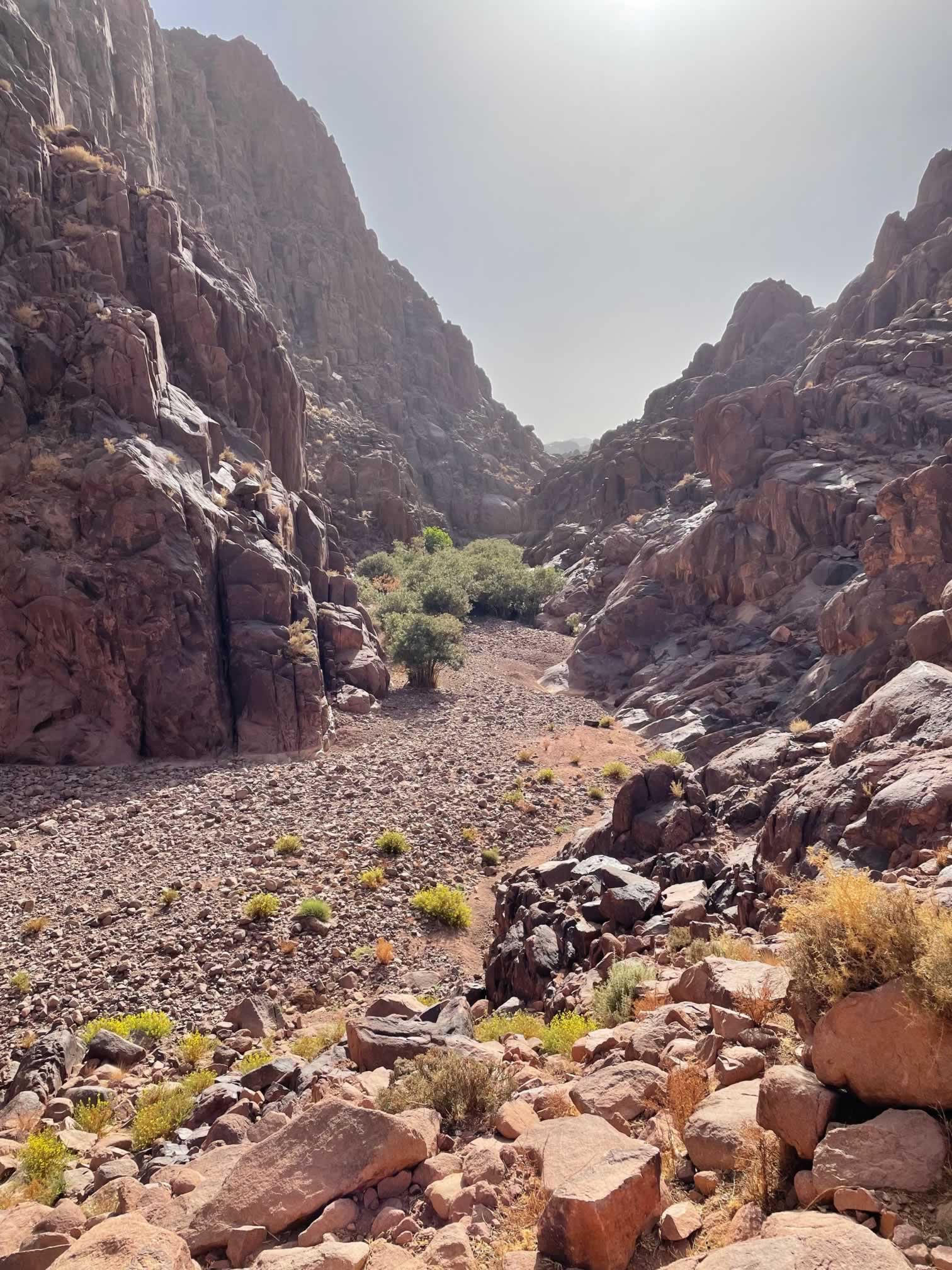Trek dans une oasis du Jbel Saghro, sud marocain